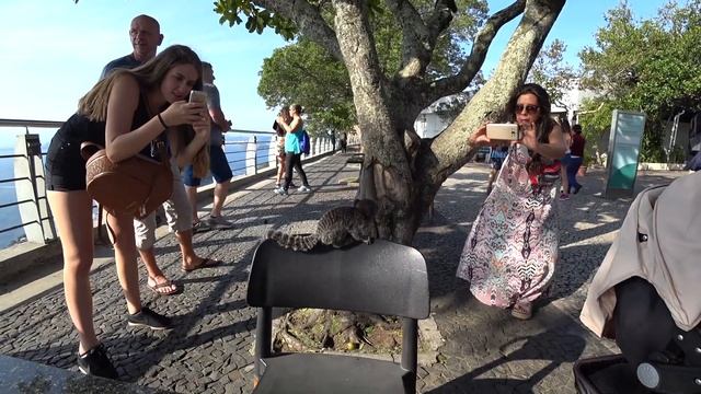 Рио де Жанейро. Сахарная голова, самое приятное место в Рио.) Как попасть? Вид с горы. смотреть онлайн