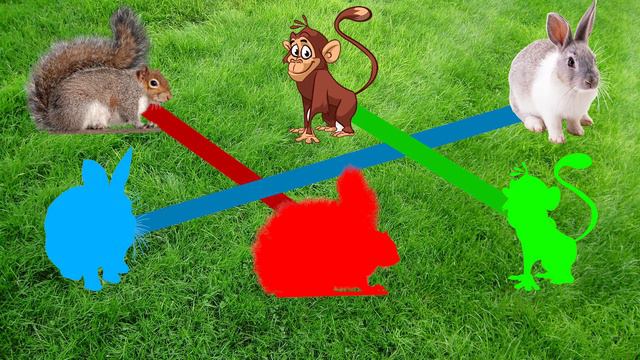 Развивающие и обучающие мультики - учим животных - про животных смотреть онлайн