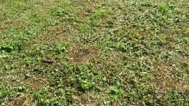 Вот такой выходной день смотреть онлайн