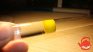 Муравьи с нуля! Messor structor. Для чайников! №1