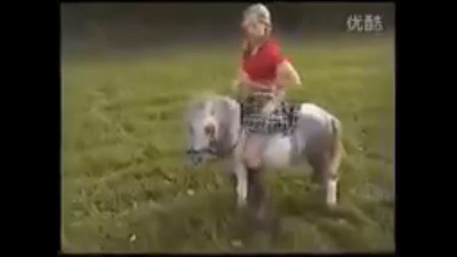 Schoolgirl Rides a Untamed Pony смотреть онлайн