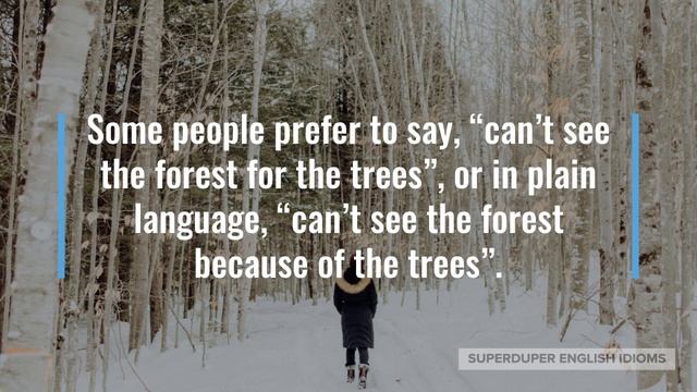 "Miss the Forest for the Trees" Idiom Meaning, Origin & History | Superduper English Idioms смотреть онлайн
