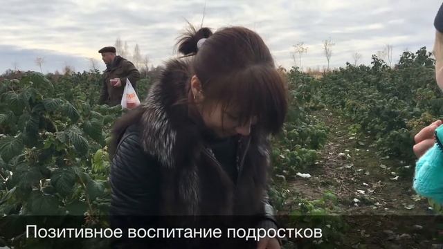 День открытых дверей в Агропарке "Долина мечты" смотреть онлайн