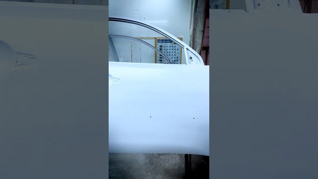 Полный покраска в RAPTOR