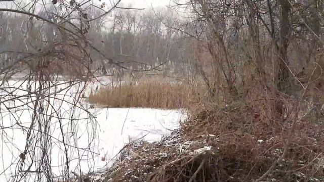 Замёрзшее озеро, посылка с Китая и мой домашний зоопарк)) Кишинев смотреть онлайн