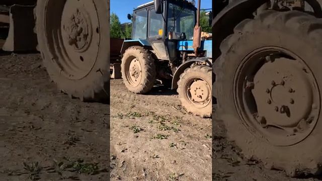 Трактор Беларус-82.1, РБ, новый смотреть онлайн