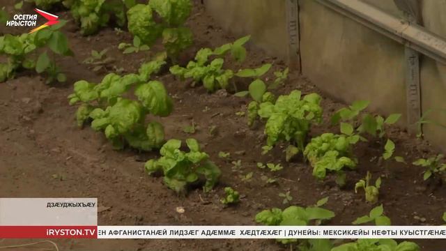 Кадиты Зæлинæ 6 азæй фылдæр кæны зæххы куыст смотреть онлайн