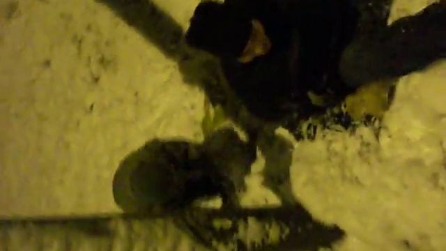 Bayu und ich im Schnee смотреть онлайн