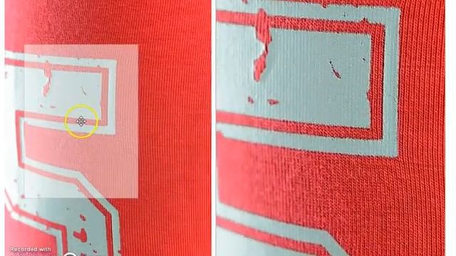 Леггинсы, PELICAN