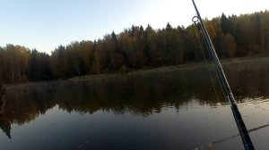 Окунь на спиннинг. Оснастка сплит шот.