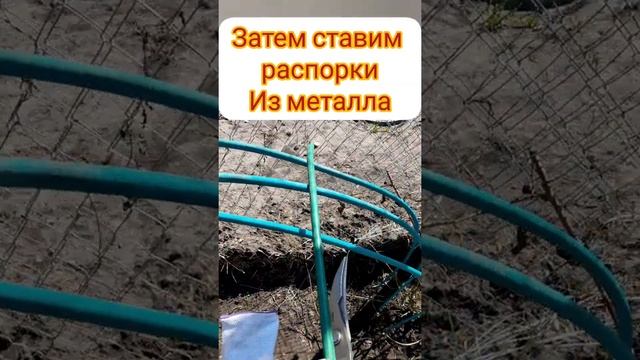 Супер арка для ежевики или розы смотреть онлайн