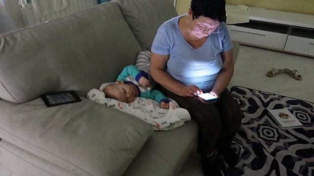 VLOG: Что стало с муравьями / Веганский болоньезе