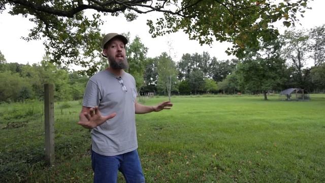 WE'RE BACK and on a NEW Homestead! Here's a look at the new garden space! смотреть онлайн