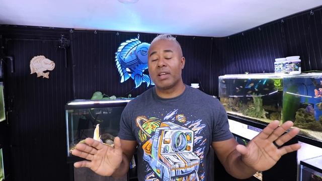 Best Oscar Fish Tank Mates смотреть онлайн