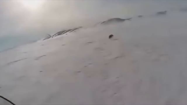 Приколы на охоте 2 смотреть онлайн