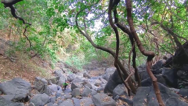 Trekking In Navi Mumbai (CBD Belapur) ⛰️ смотреть онлайн