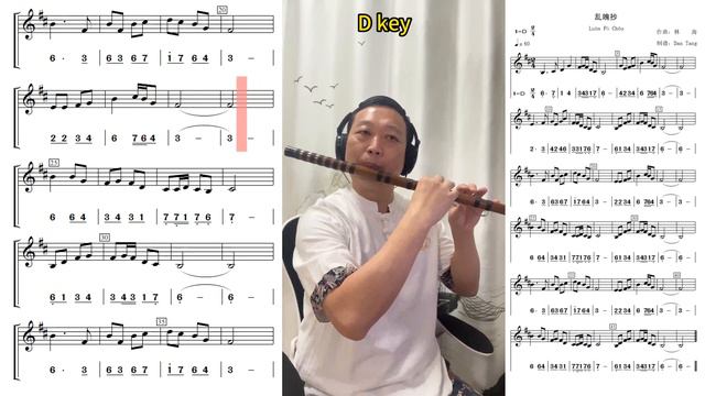 《Luàn Pò Chāo -The Untamed OST》D key Dizi Flute Playing With Video Score (Staff+Number Notation)乱魄抄 смотреть онлайн