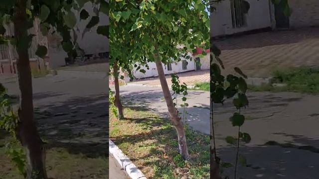 Геническ сегодня.Центр города смотреть онлайн