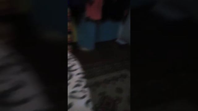 Как гладить кота смотреть онлайн