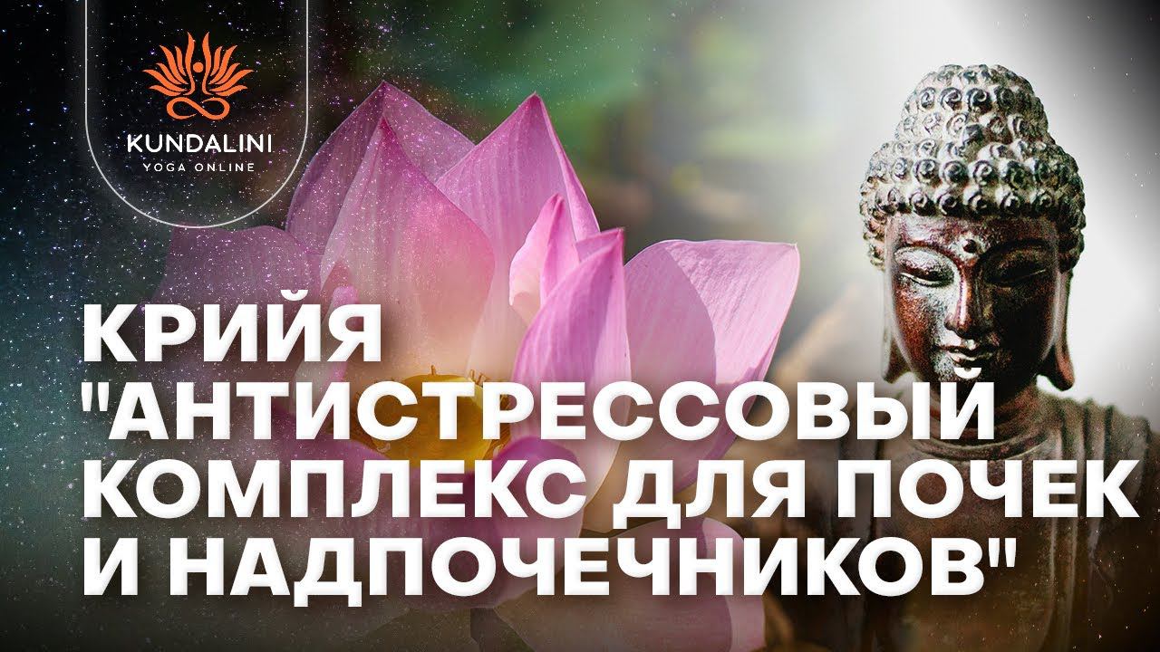 Крийя "Антистрессовый комплекс для почек и надпочечников" смотреть онлайн