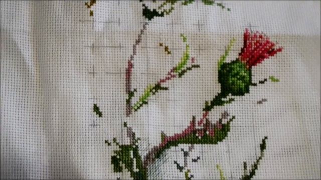 Проект из 30 в 10!!! Чертополох отчет-2!!! смотреть онлайн