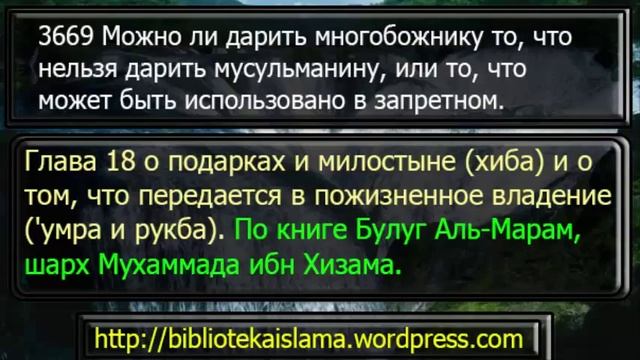 3669 Можно ли дарить многобожнику то, что нельзя дарить мусульманину, или то, что может быть смотреть онлайн
