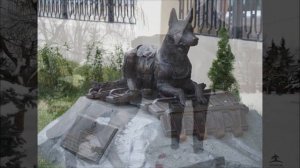 Памятники Сталинградской битвы. Памятник СОБАКАМ-ПОДРЫВНИКАМ