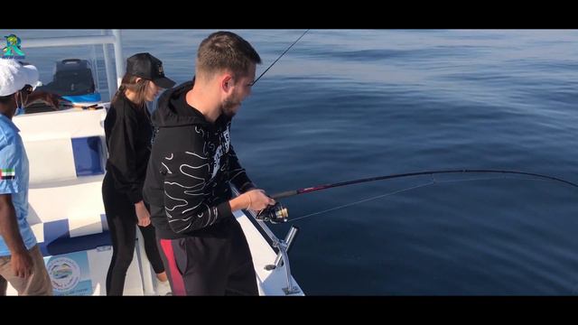 Спиннинг Zemex Spider Z10 XH 802 2.44 cm 12-68g Бюджетный для Морской Рыбалки смотреть онлайн