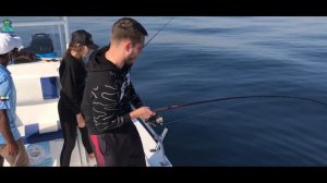 Спиннинг  Zemex Spider Z10 XH 802 2.44 cm 12-68g Бюджетный для Морской Рыбалки