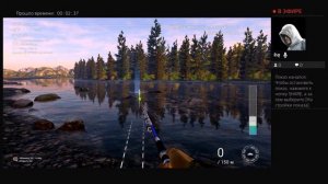 уникальный большеголовый голец Каник-Крик