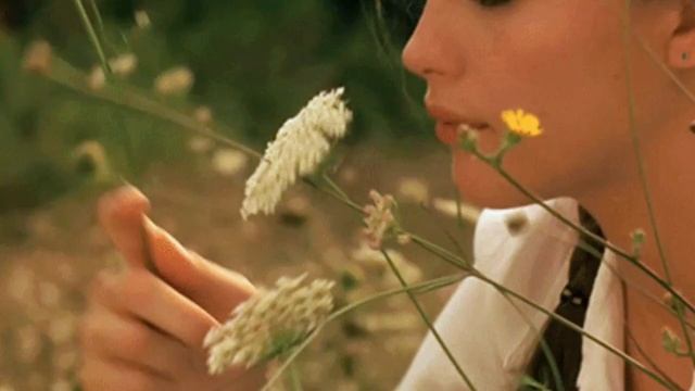 КАВЕР. ПЕСНЯ ДЛЯ ДУШИ. ПТИЦА. АВТОР - ВАЛЕРИЙ ЗУЙКОВ. ИСПОЛНИТЕЛЬ - ЗЛАТА ЛАЗАРЕВА смотреть онлайн