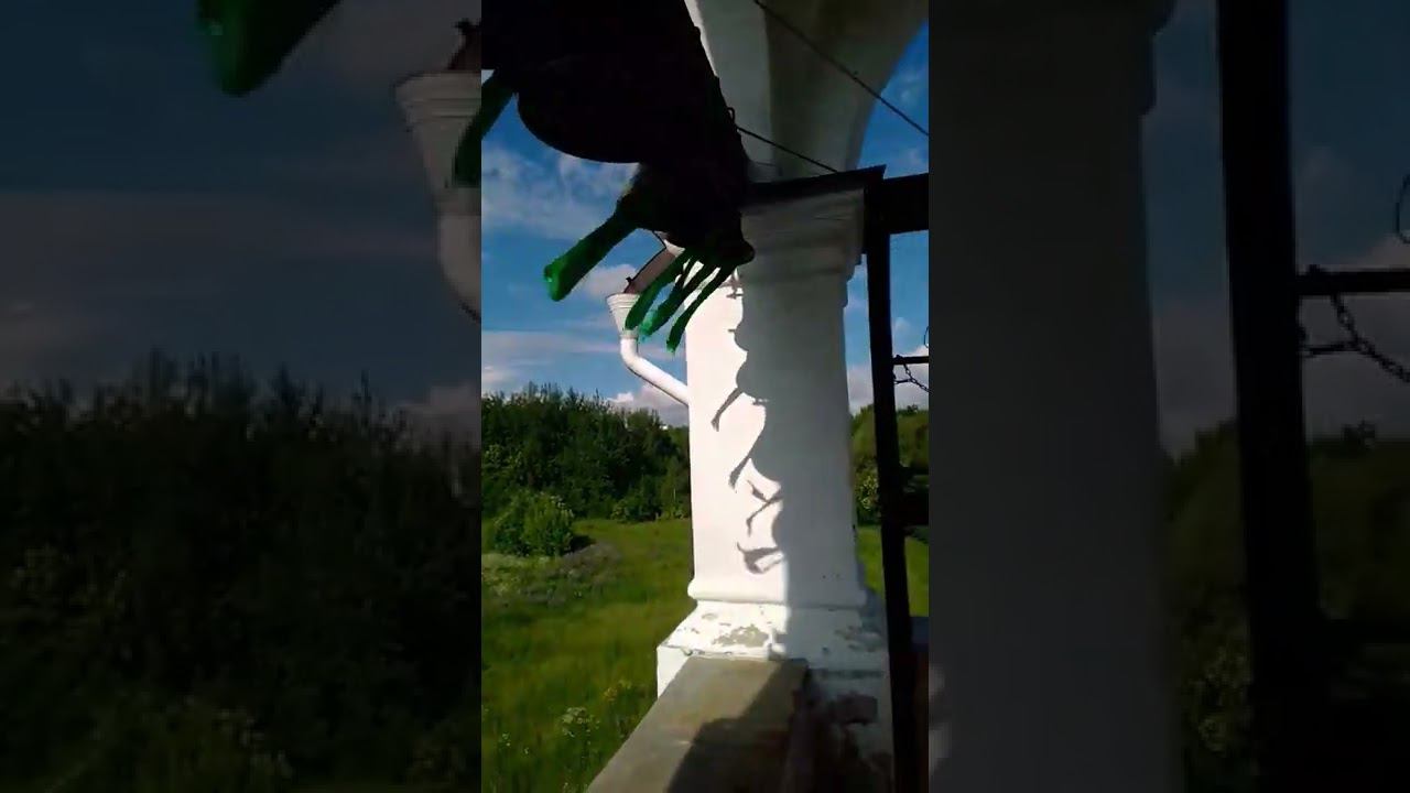 колокольный звон 12.06.2022 смотреть онлайн