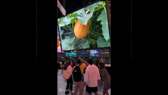 respect 1609240101 #asmr #market #plants #jarelik смотреть онлайн