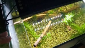 Светильник с АлиЭкспресс NICREW 40А (24/7)