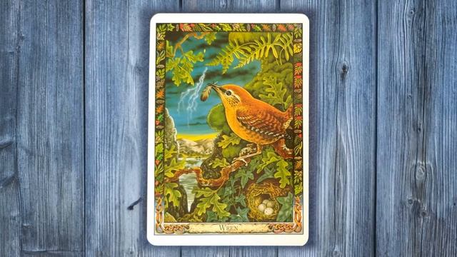 THE DRUID ANIMAL ORACLE REVIEW, PHILIP & STEPHANIE CARR-GOMM, Bill Worthington, UNBOXING ALL CARDS смотреть онлайн