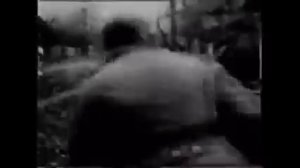 Ходит дурачок