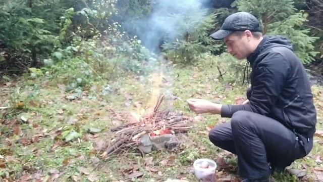Potato skewers, bushcraft, camping in the Carpathians.Ancient forests and rivers in the Carpathians смотреть онлайн