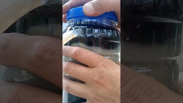 Фильтр для пруда из пластиковой банки) смотреть онлайн