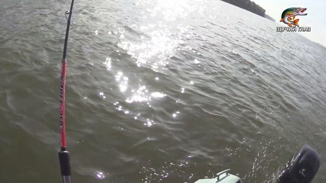 Рыбалка ТРОЛЛИНГОМ в Молчаново и всё о ТРОЛЛИНГЕ на Оби, часть 6. (21.09.2020) смотреть онлайн