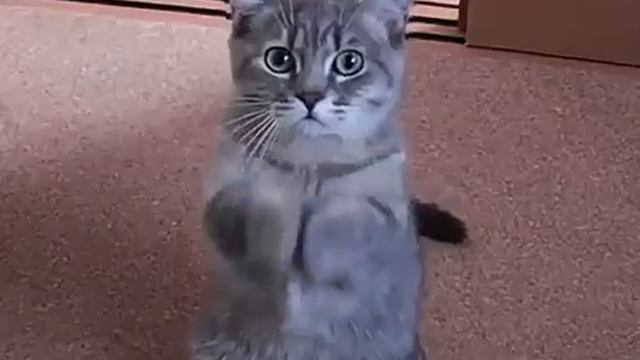 Боже, дай мне силы, терпения и любви ))))) смотреть онлайн