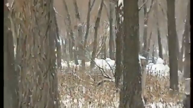 Оренбург ёнксонь Боризвелень ды Кабаевкань эрзятнень кедьсэ (1995 ие) смотреть онлайн