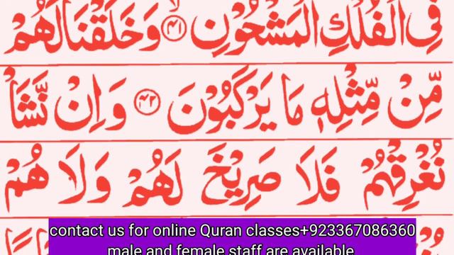 Surah yaseen ki tilawat|Learn Quran with umm e Abdullah official|Yasin surah complete|سورۃ یس| смотреть онлайн