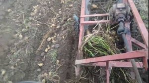 т-25 и самодельная копалка .