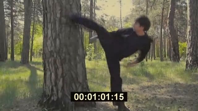 Базовая техника ударов ногами смотреть онлайн