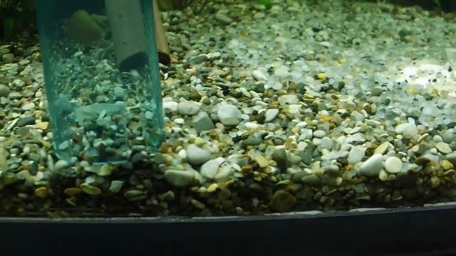 Пылесос для аквариума. смотреть онлайн