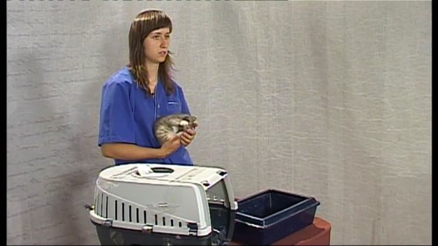 Кошарики приучение к лотку смотреть онлайн