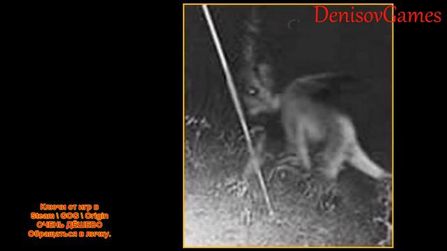 Страшная История - Крылатый чупакабра смотреть онлайн