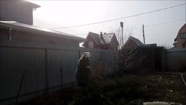 Можжевельник и банный веник. смотреть онлайн