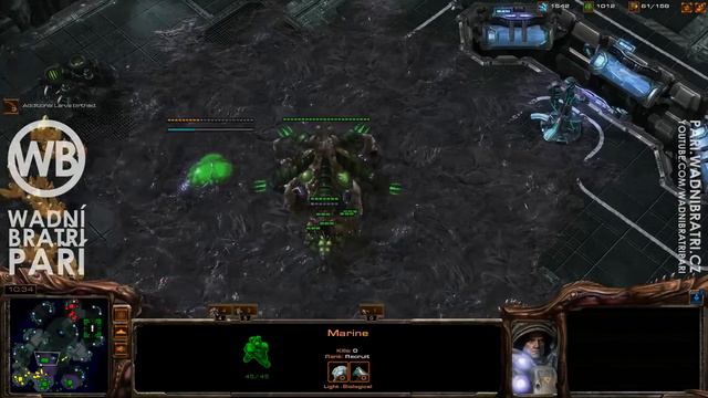 Obsadíme celou mapu, 2v2 custom, WB paří StarCraft 2 WoL смотреть онлайн