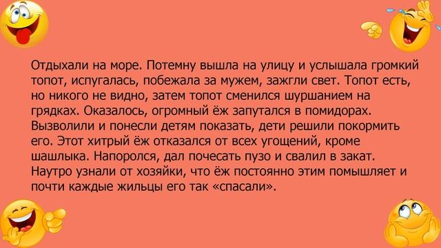 Анекдот про хитрого ежа смотреть онлайн